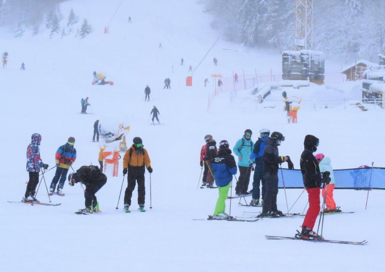 Place Royale Pour 10 A 12 Personnes A 30 Met Des Pistes De Ski Et Vtt Métabief المظهر الخارجي الصورة