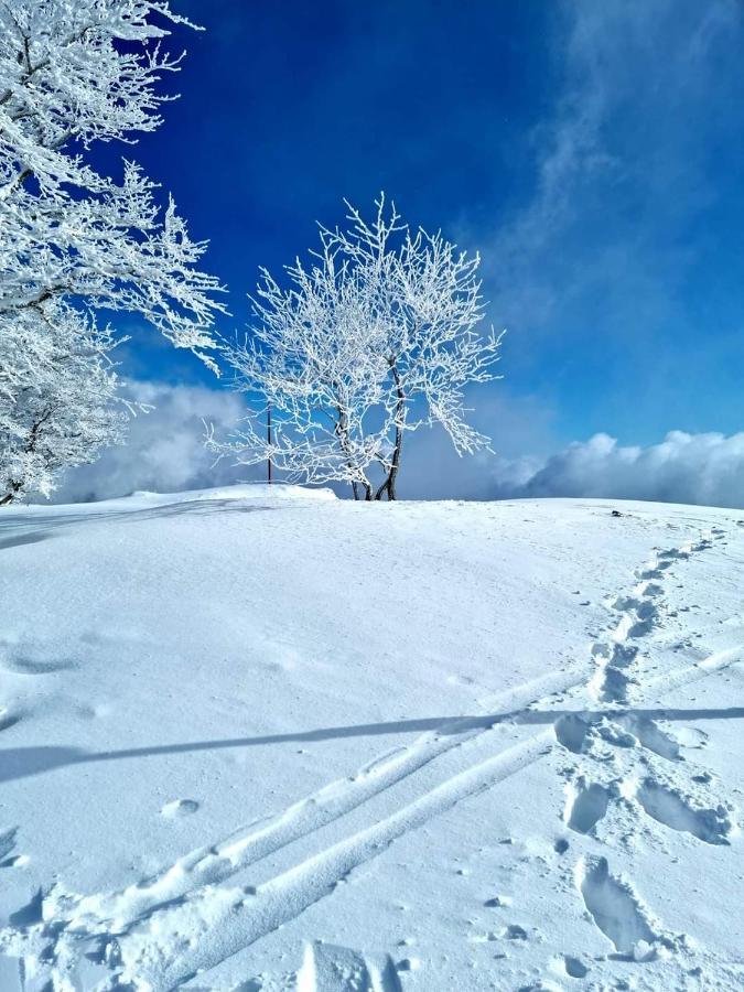 Place Royale Pour 10 A 12 Personnes A 30 Met Des Pistes De Ski Et Vtt Métabief المظهر الخارجي الصورة