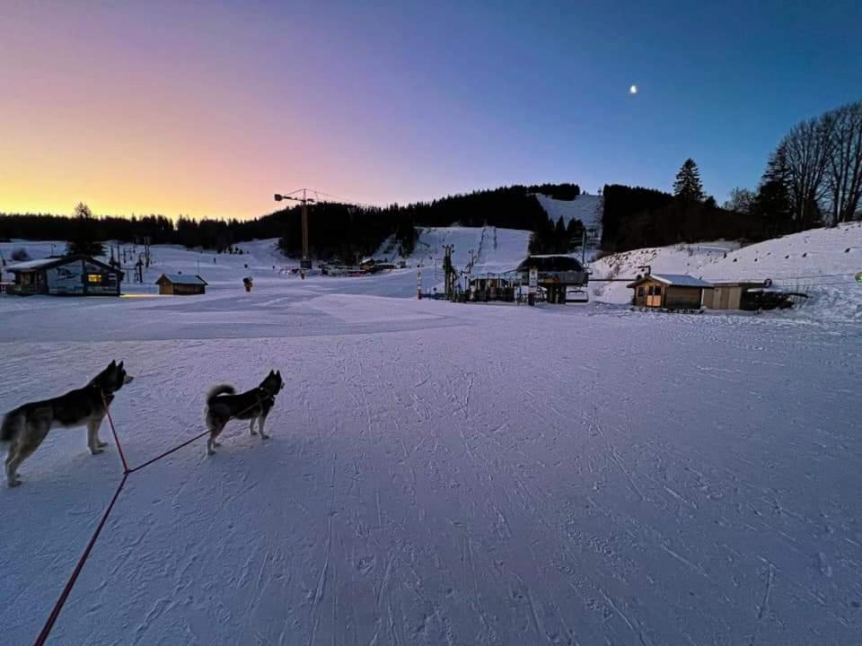 Place Royale Pour 10 A 12 Personnes A 30 Met Des Pistes De Ski Et Vtt Métabief المظهر الخارجي الصورة